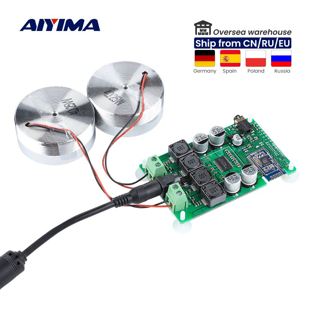 AIYIMA 2 Inch Audio Portable 25W Resonance Vibration Speaker TPA3118 Bluetooth 5.0 Amplifier Sound Neodymium Altavoz DC 12V 5A